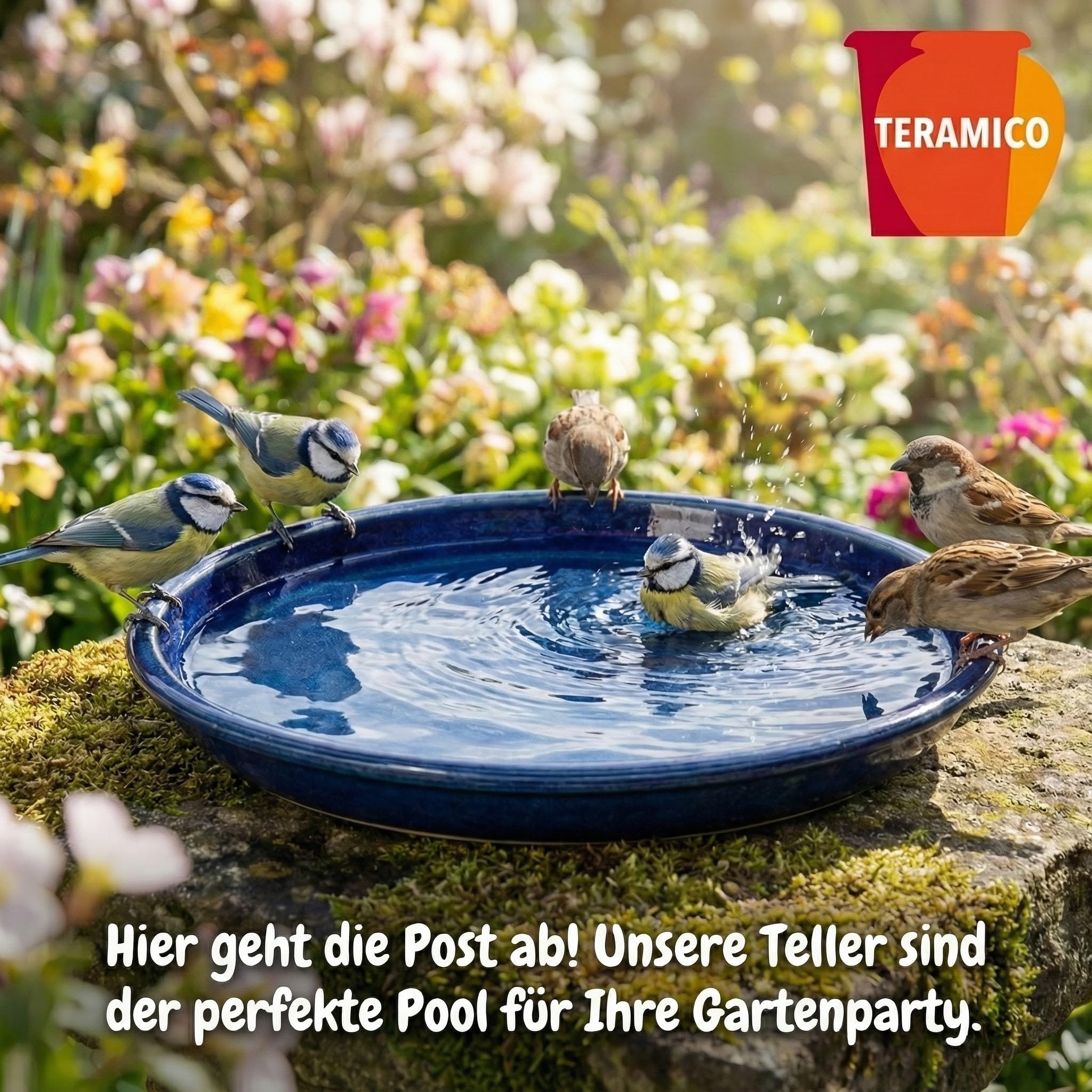 Teramico Poidło dla ptaków/talerze/podkładki pod donice, doniczki na kwiaty, niebieskie, białe, antracytowe, glazurowane, z kamionki, 24-42 cm, odporne na mróz (królewski błękit, 21 cm)