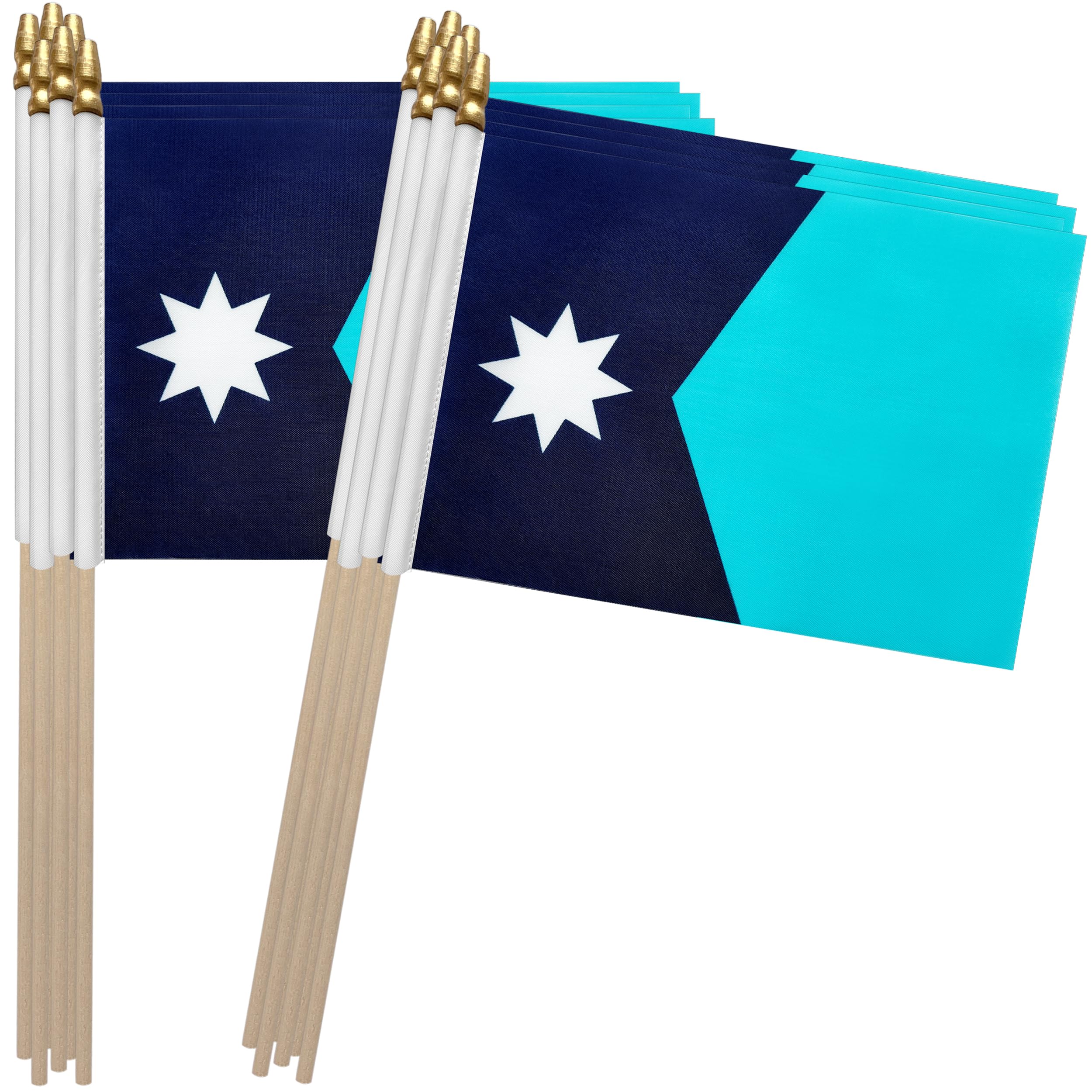 Amazon.com : TSMD New Minnesota MN State Flag on Wood Stick Small