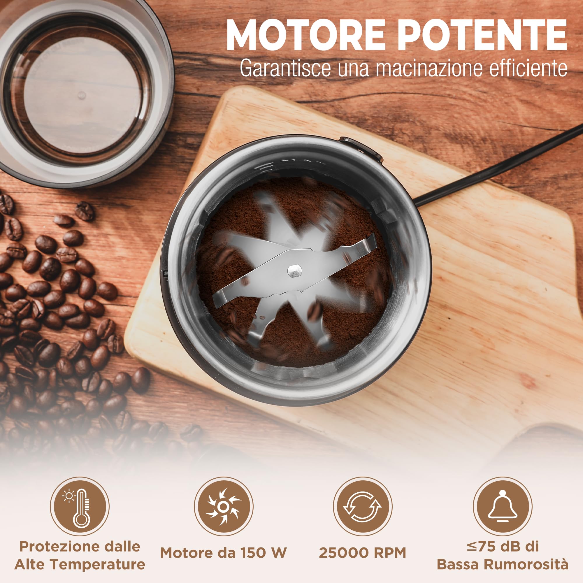 HAUSHOF Macina Caffè Elettrica da 75 g, Macinacaffè da 150W per Chicchi di Caffè e Spezie, Macina Spezie Multifunzionale per Chicchi di Caffè, Noci, Erbe