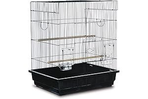 20x20 Parakeet Cage: A Haven For Your Feathered Friends
