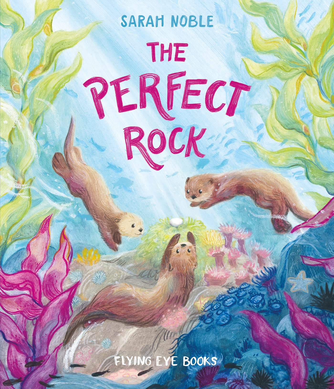 Flying Eye Books The Perfect Rock