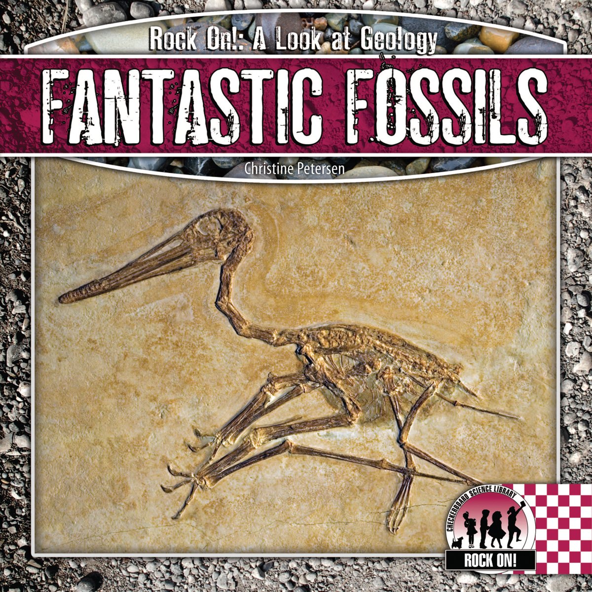 Fantastic Fossils (Rock on!: A Look at Geology)
