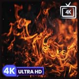 sopravvivere al caldo in inglese Invitanti immagini di fiamme danzanti in 4K