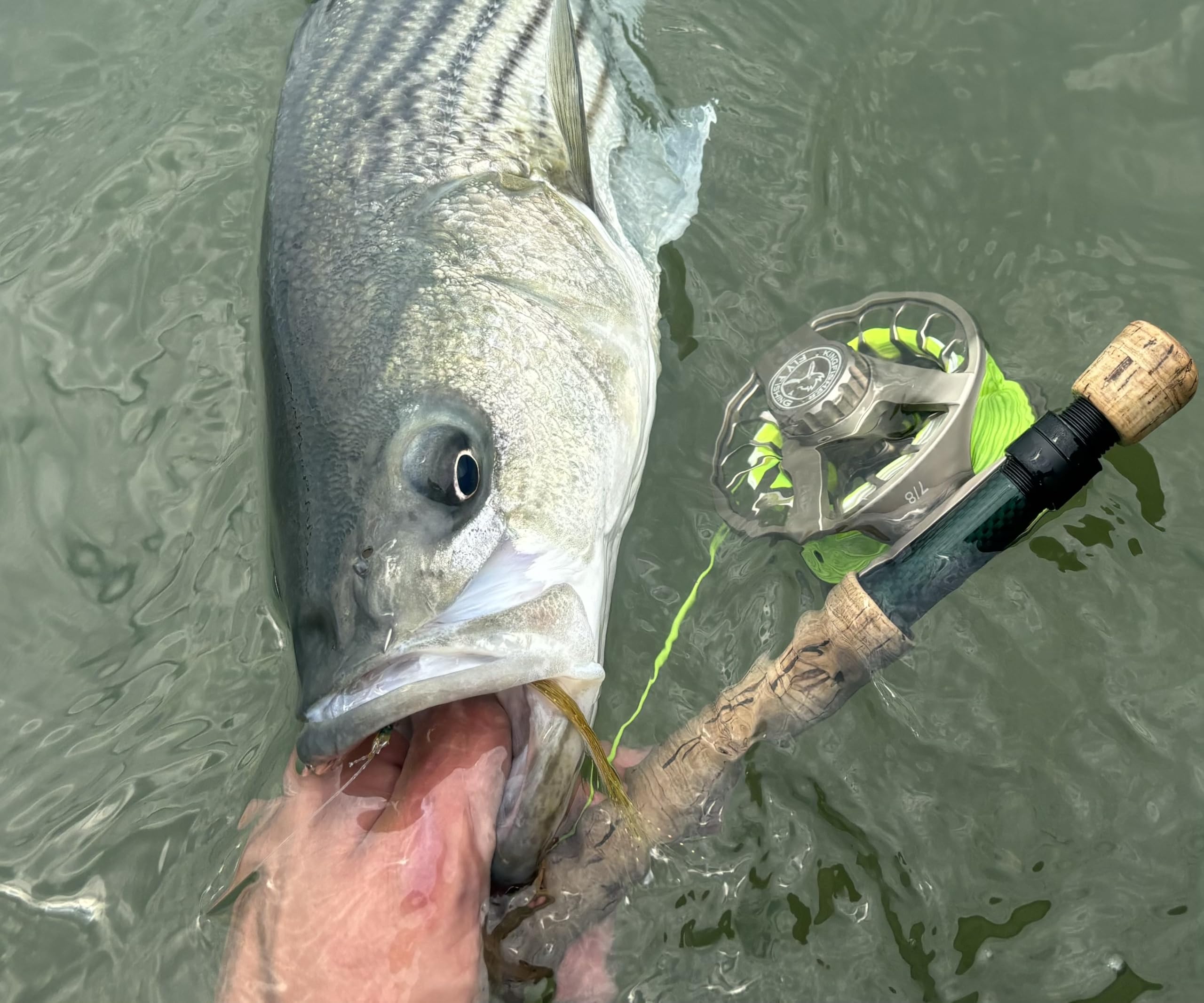 Kingfisher Fly Fishing Big Blackfoot Angelrolle | Langlebige, leichte, leistungsstarke Angelrolle zum Fliegenfischen