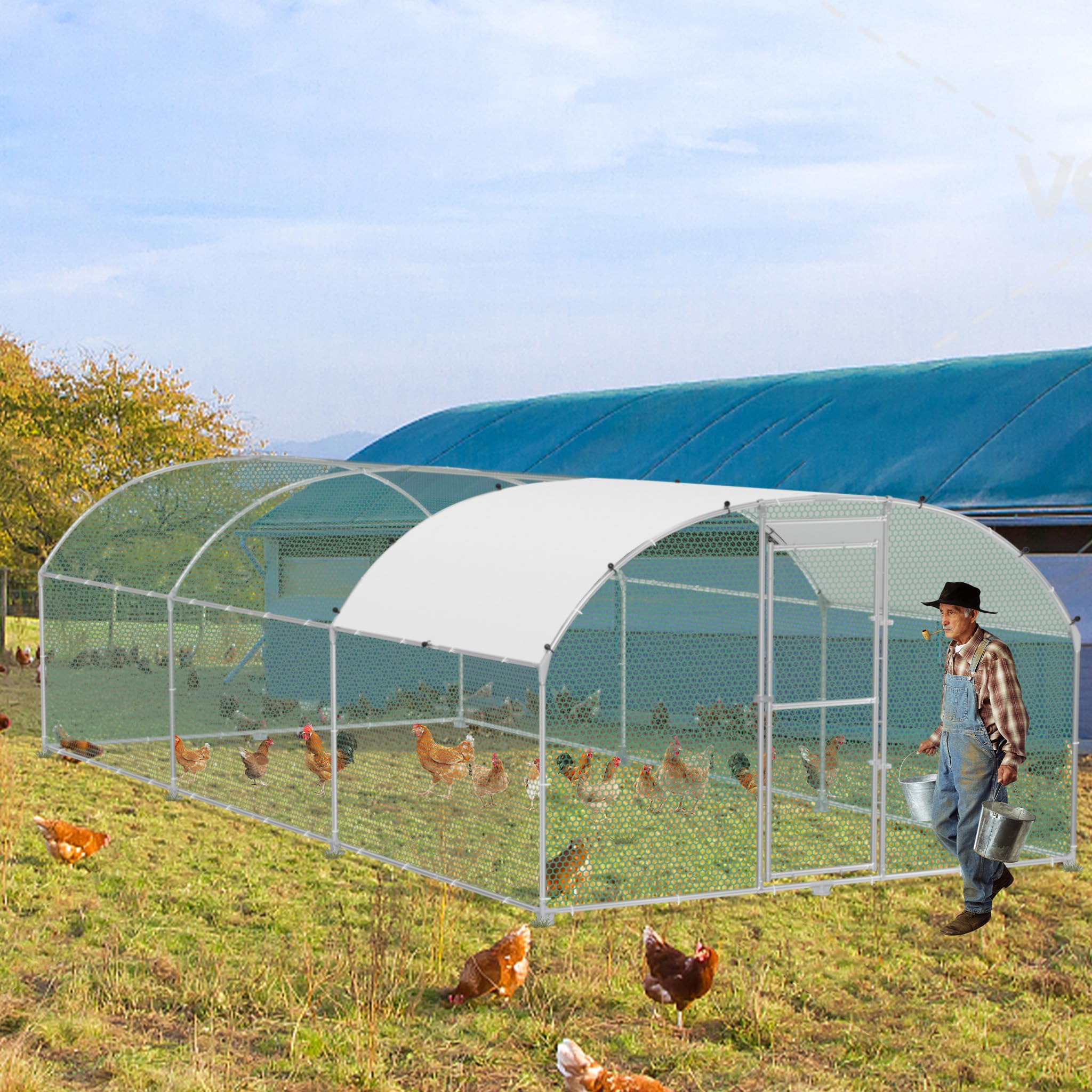 FIVMEN pollaio 3 x 6 m recinto esterno polli acciaio zincato, pollaio con arco, protezione solare, tetto, porta e palo, recinto di pollame stabile, gabbia di pollo, piccolo recinto per animali