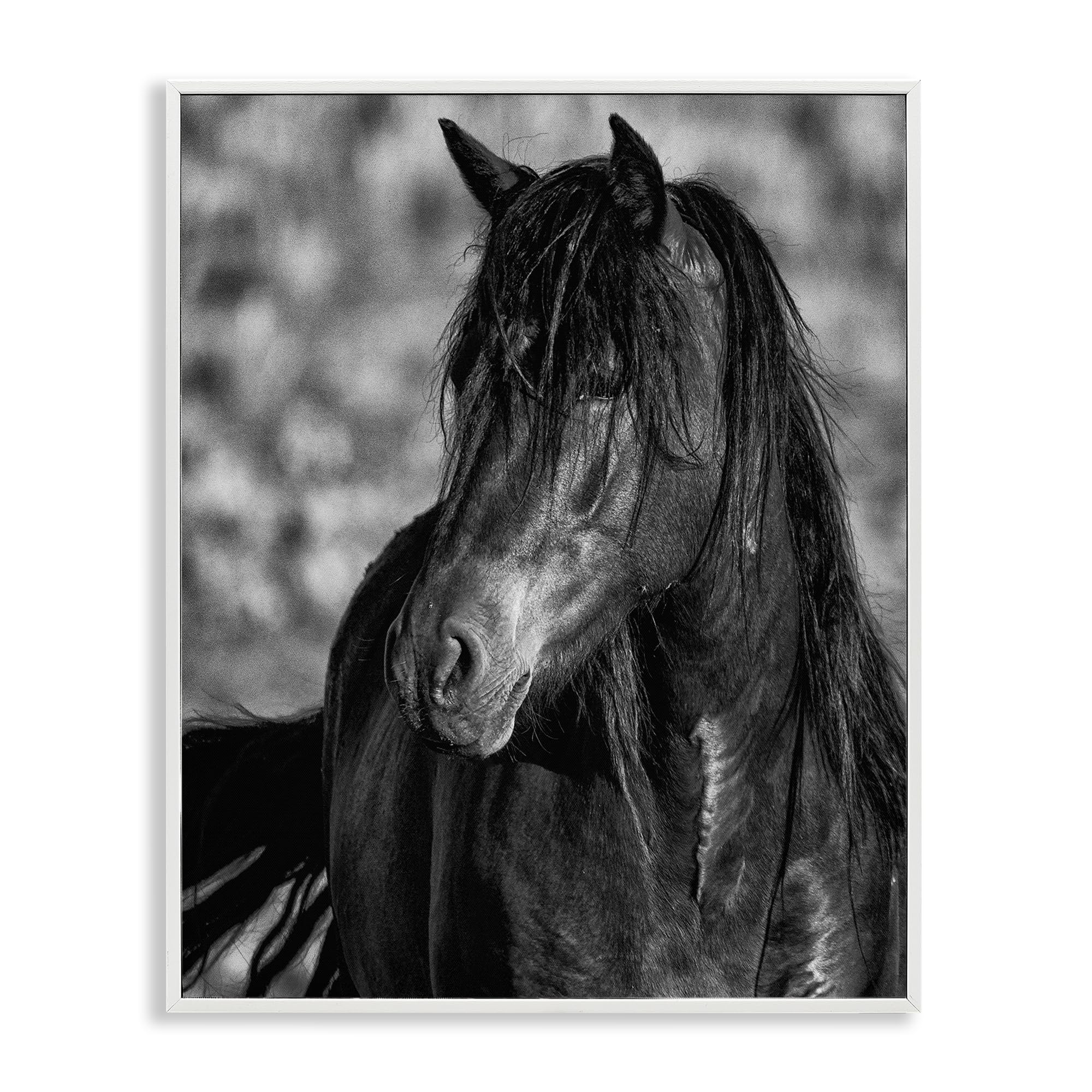 Stupell Industries Coastal White (Textured) 'Beauty In Black'| Framed Giclee Art