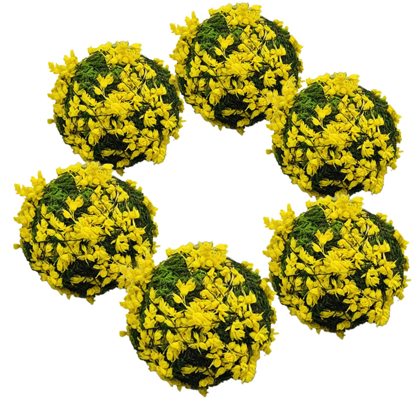 Kubert モスボール