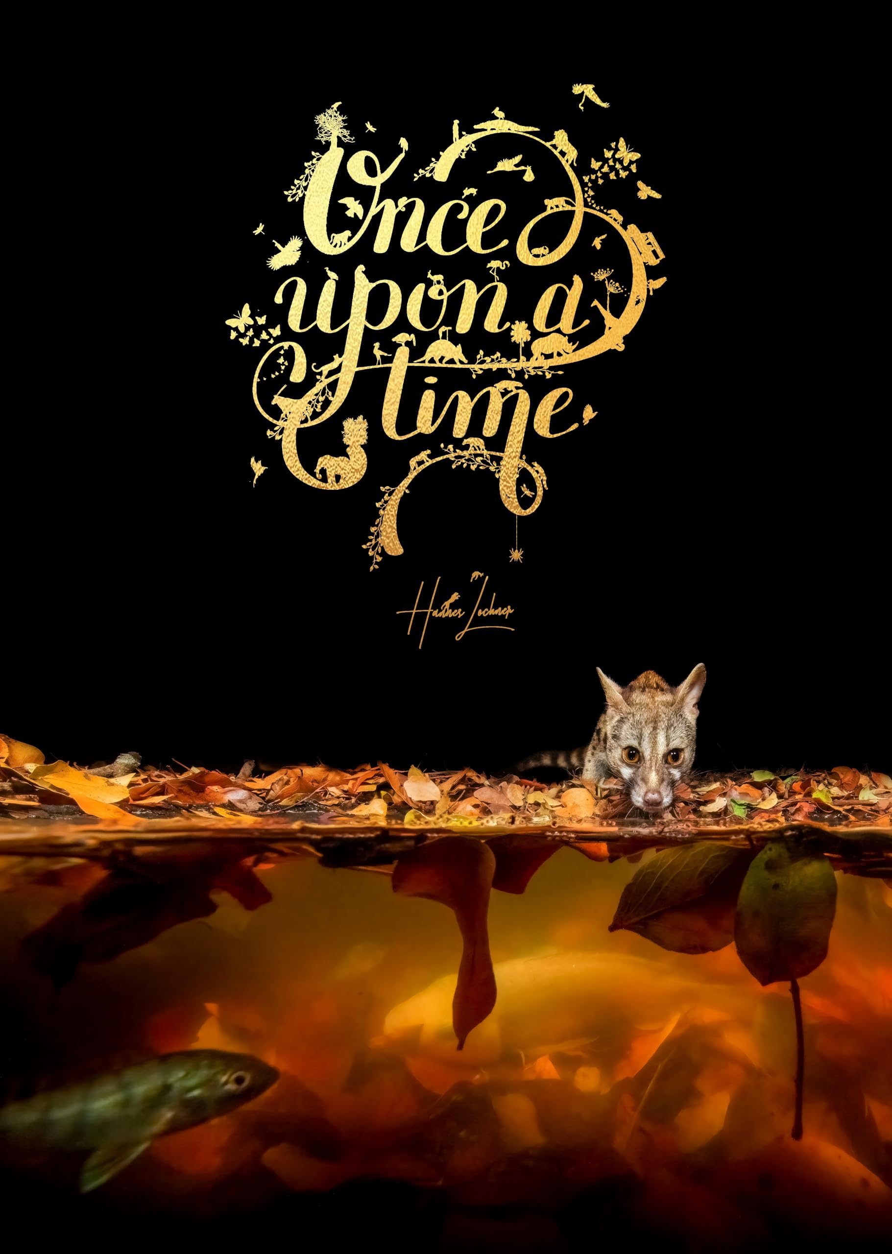 Once Upon a Time: An Intimate Insight Through Storytelling and Wildlife Photography.