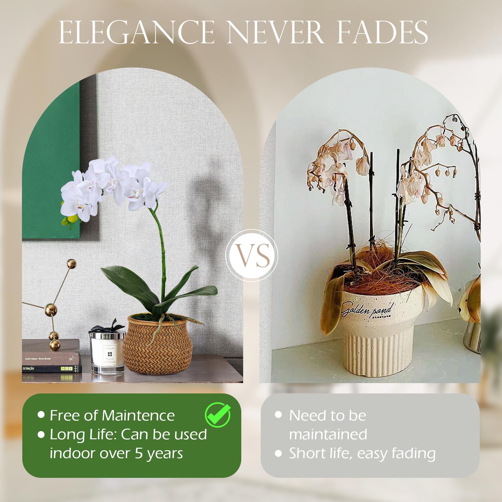Avoeco Orchidea Artificiale In Vaso - Phalaenopsis Bianca Real Touch Con Vaso In Ceramica, Per Casa E Ufficio
