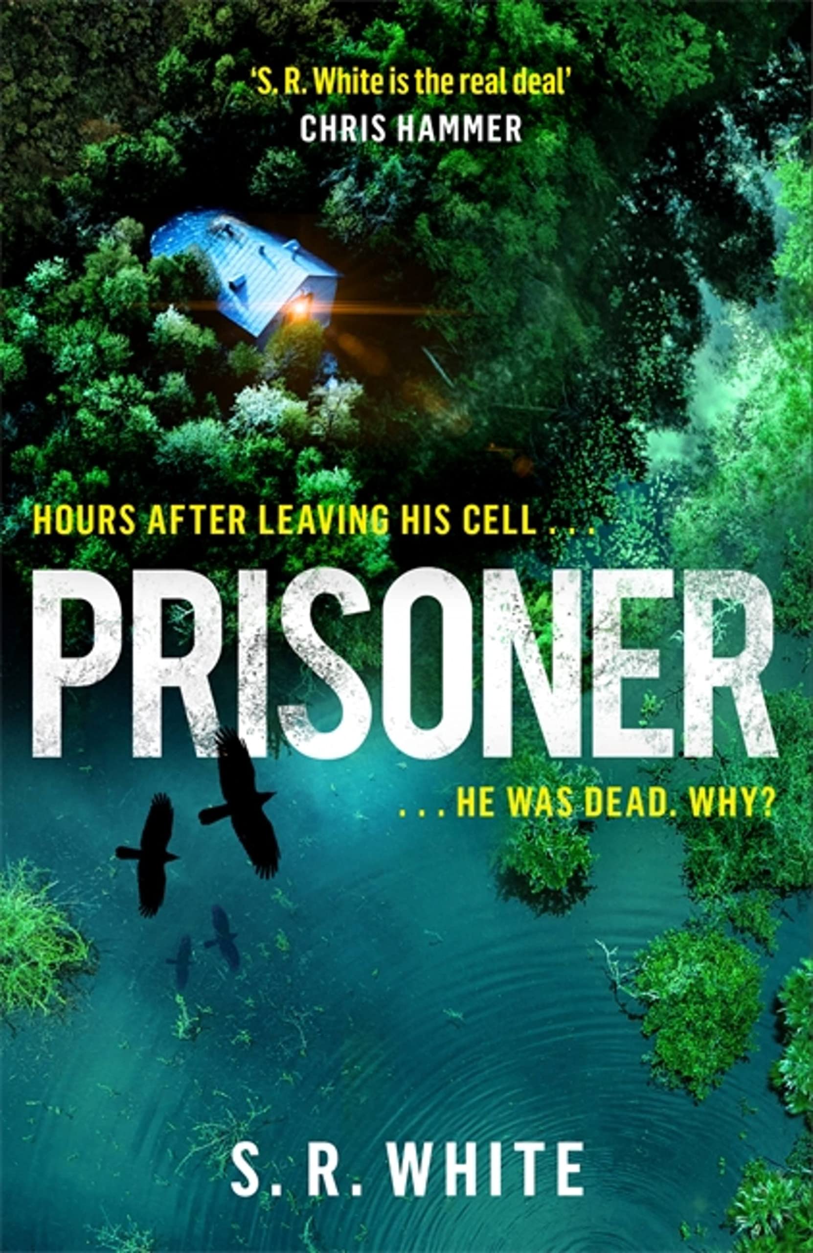 Prisoner (Detective Dana Russo)