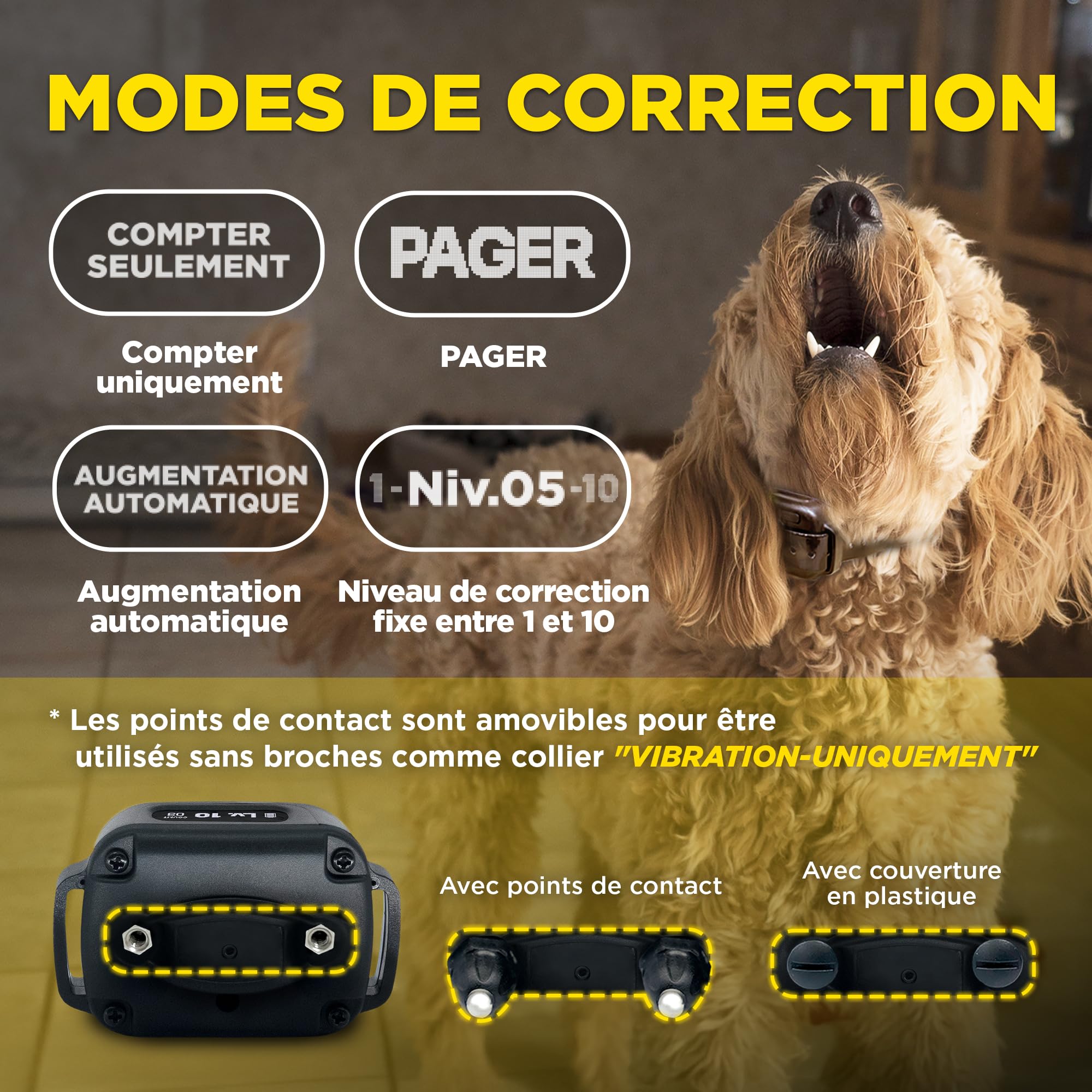 Dogtra Smart NOBARK Collier Anti-aboiement, détecte gémissements et aboiements, contrôle Via app, étanche (IPX9K), Dressage portée 30m, pour Chiens de Petite Taille.