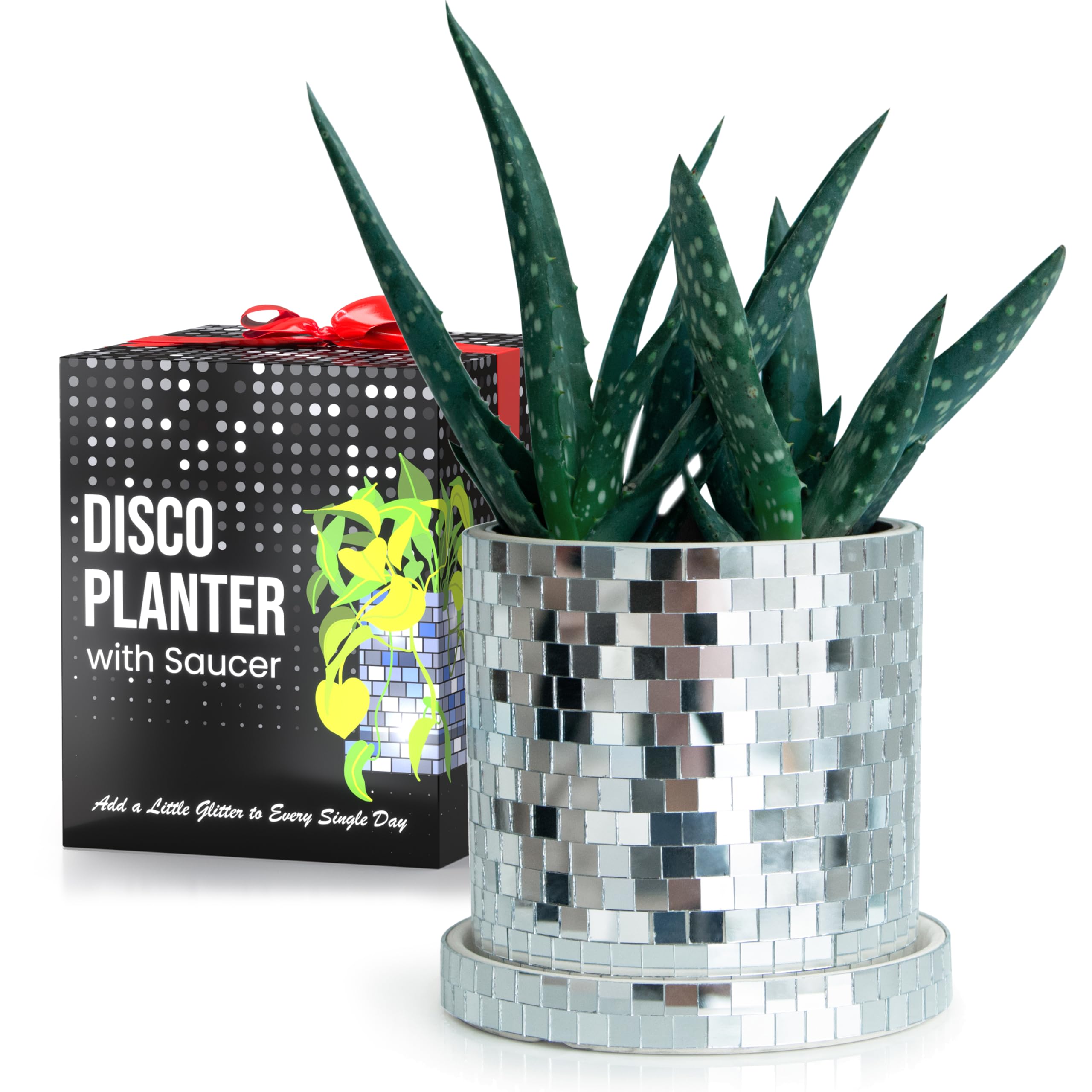 SCANDINORDICA 4.3 Inch Disco Ball Planter Pot