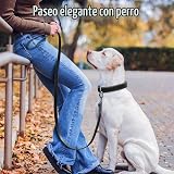 Ver la foto 6