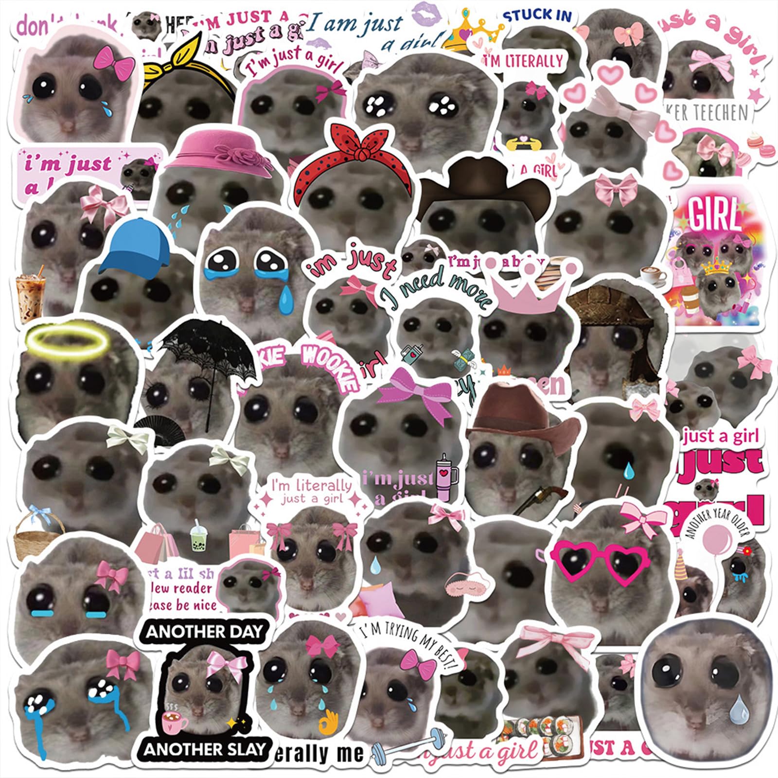Kaeltsyn Boys Hamster Stickers For Kids Teens For Hamster Lover Hand Account Ready To Creat!! Funny Memes For Guitar Phones Laptop