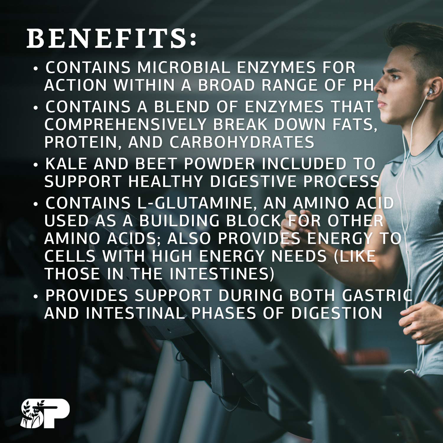 Standard Process Enzycore 150 Capsules Buy Online in United Arab