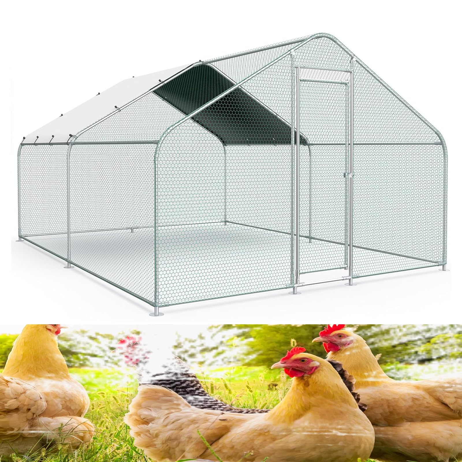 Amazon | Dtyubfg 屋外鶏小屋耐候性大型 鶏かご 6羽の鶏用の大きな鶏 