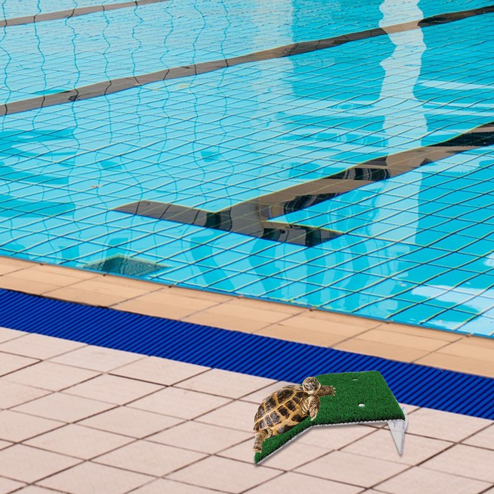 Pool Ausstiegsrampe für Tiere 3 Stück Rettungsleiter für Kleine Hunde und Wildtiere mit Saugnäpfen zur Sicheren Befestigung Am Poolrand Geeignet für Schwimmbäder und Teiche