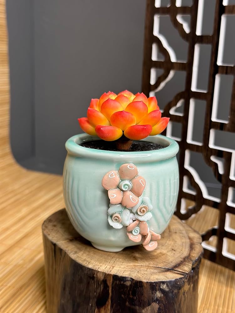 【mog】樹脂粘土のエケベリア 100均樹脂粘土】樹脂粘土で多肉植物作りエケベリア編 - YouTube