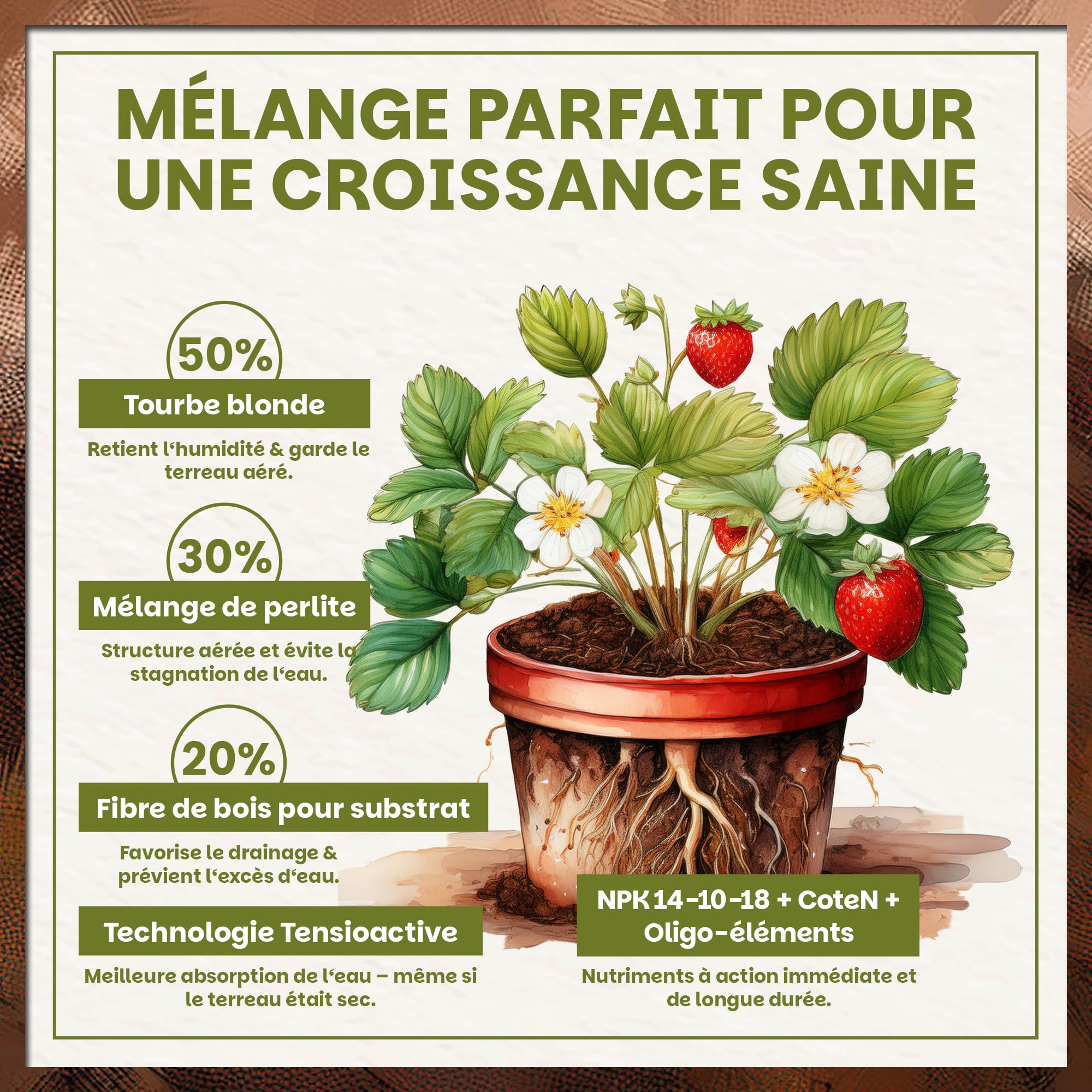 Green Home Terreau Fruits Rouges 18L Bio avec Engrais Longue durée pour fraisiers tomates Potager Balcon carré Potager Jardin Pots bacs Croissance vigoureuse récolte abondante