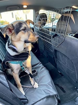 dodge durango pet barrier