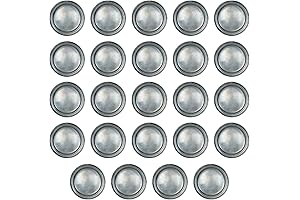 Beistle 24-Piece Disposable Pewter Paper Plates - Perfect for Medieval, Pirate, and Halloween Parties (9")