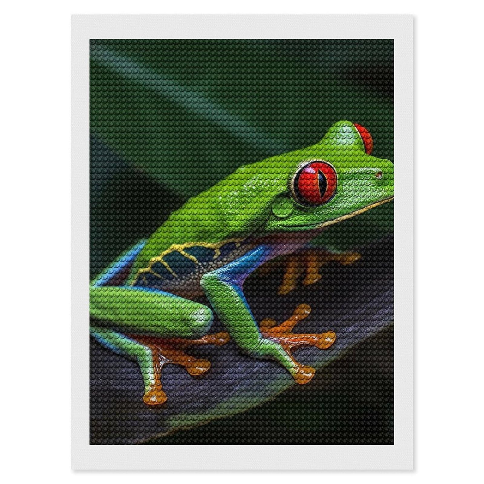 FodPand Diamond Art Kits for Adults, 5D Aurora Diamond Painting Kits for Beginners, Red Eyed Tree Frog DIY Full Drill Dots Gem Art Paint Crafts for Home Wall Decor 12"x16"