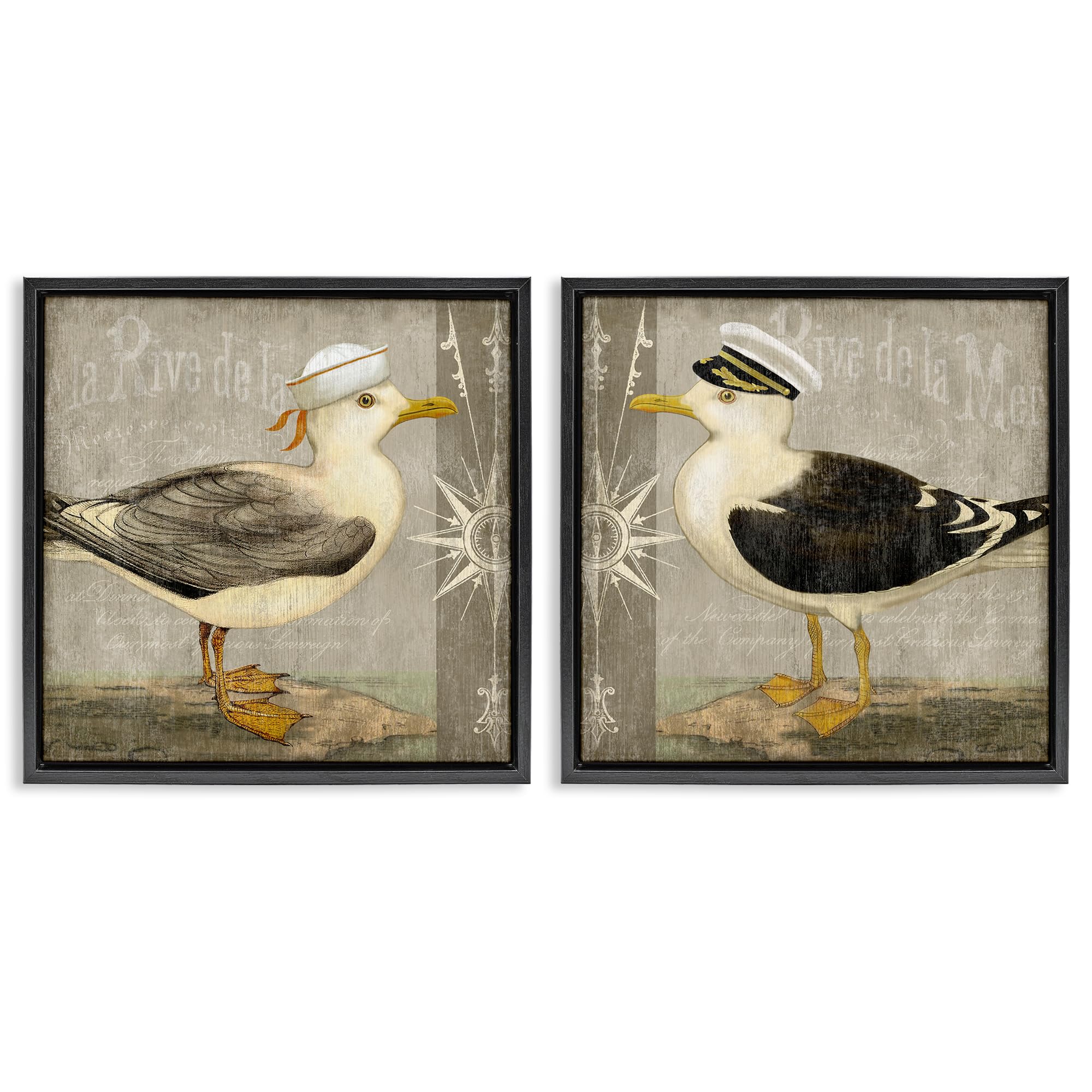 Stupell Industries 'Little Seagulls with Hats', 2pc Floating Frame Art Set 2, Black, 25 x 25 Inches, Easy to Hang and Sturdy, Made in USA, by Suzanne Nicoll