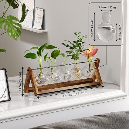 CFMOUR Plant Terrarium with Wooden Stand, Desktop Propagation Stations Glass Air Planter Metal Swivel Holder for Indoor Live Hydroponics Plants Office Home Garden Decor (5 Bulb Vase) - Image 2