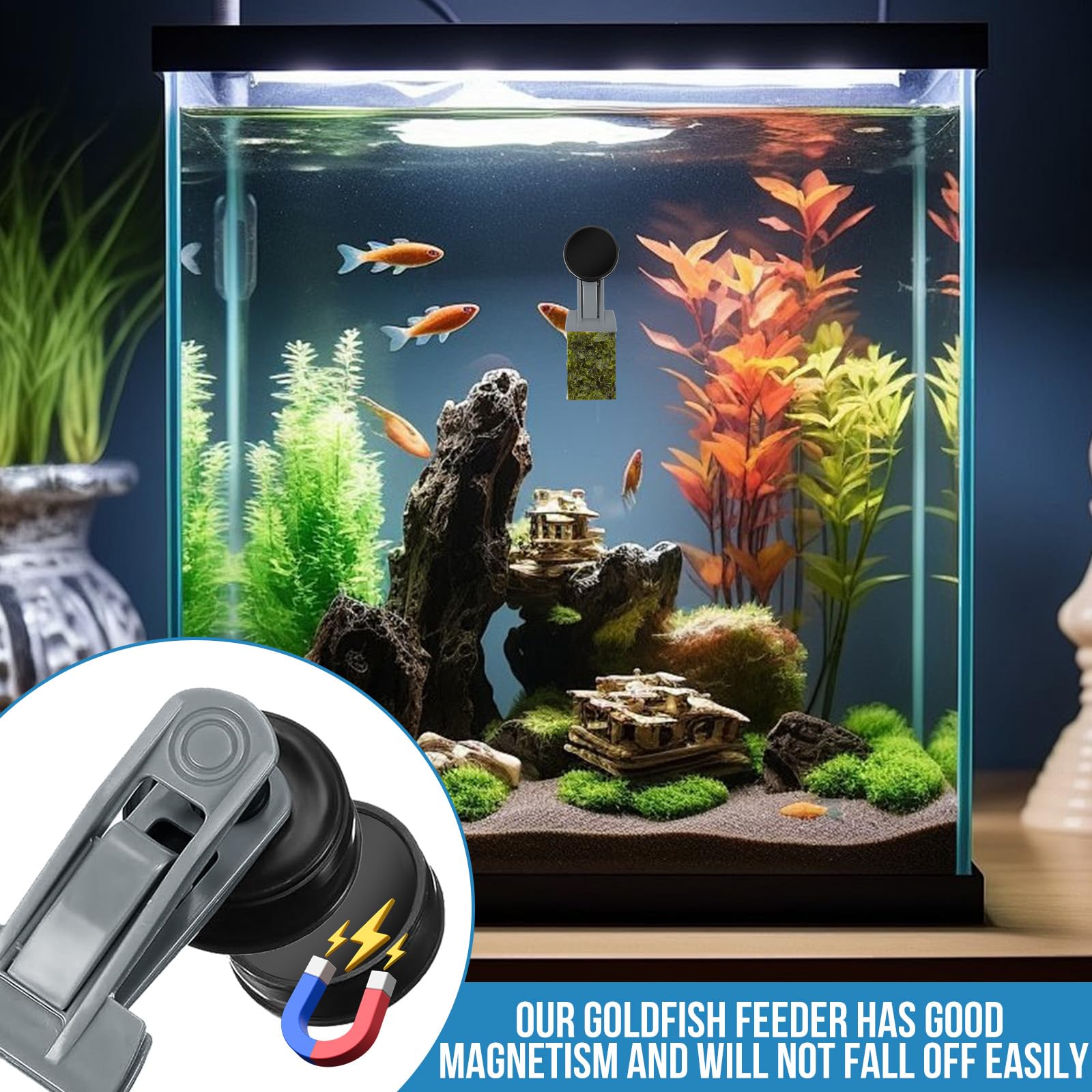 Mangiatoia per pesci rossi, accessori per acquari marini, magnete per alghe, mangiatoia per alghe marine, clip magnetiche, anello di alimentazione per acquari adatto per pesce animali acquatici