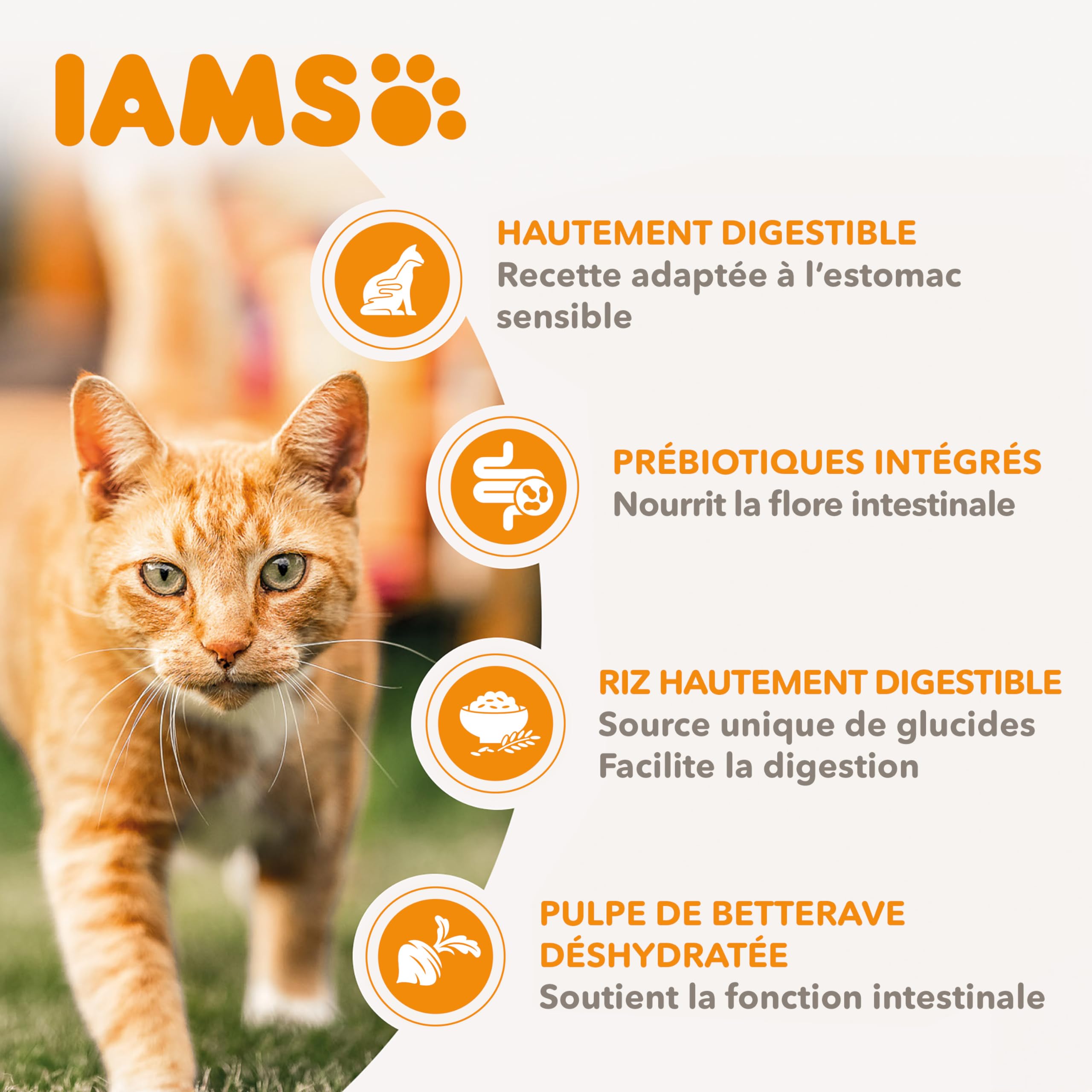 IAMS Advanced Nutrition Chat Adulte Digestion Sensible Alimentation sèche - à la Dinde - 10kg