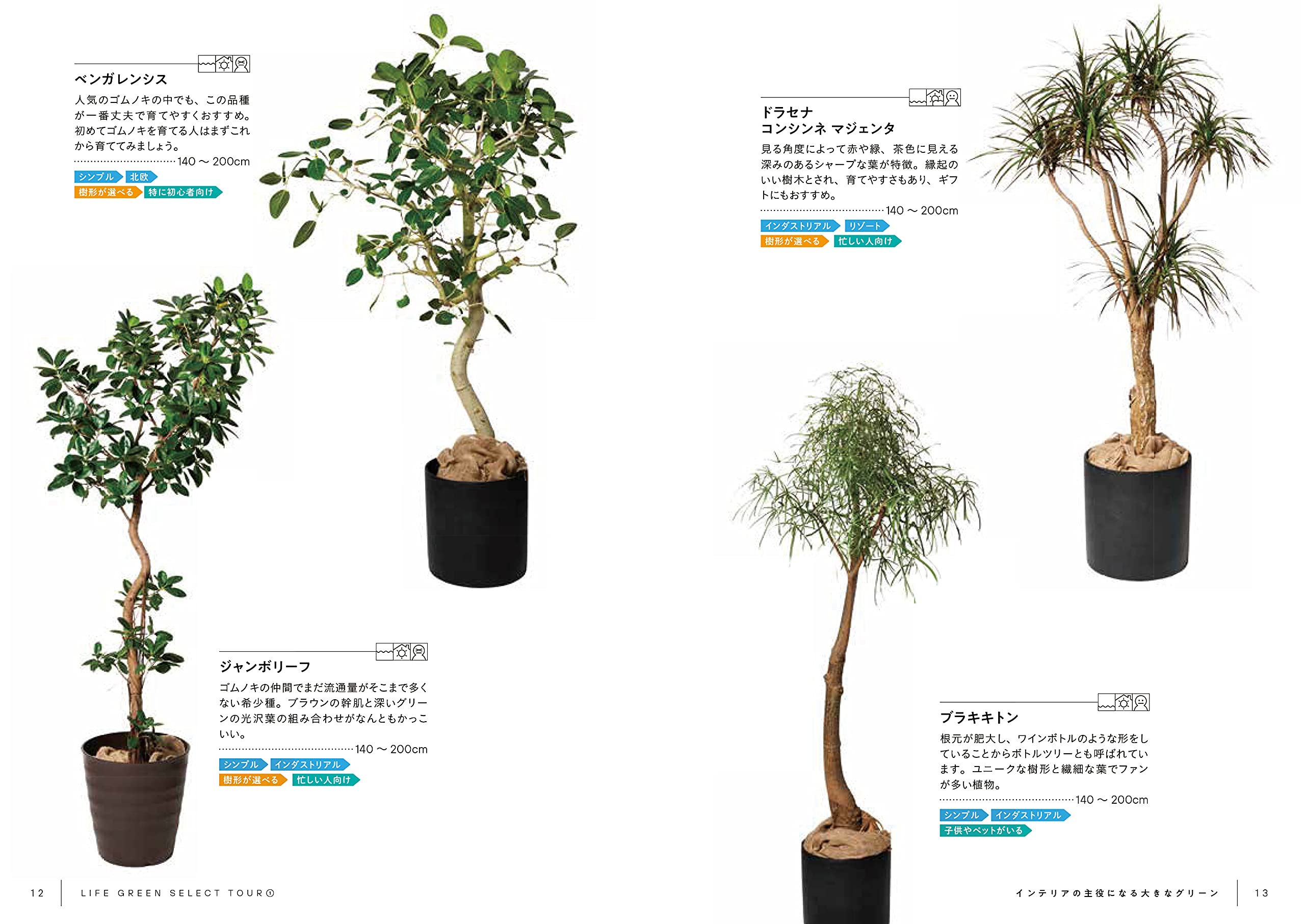 Life Green Select Tour 暮らしに寄り添うグリーンと出会おう 森田紗都姫 本 通販 Amazon