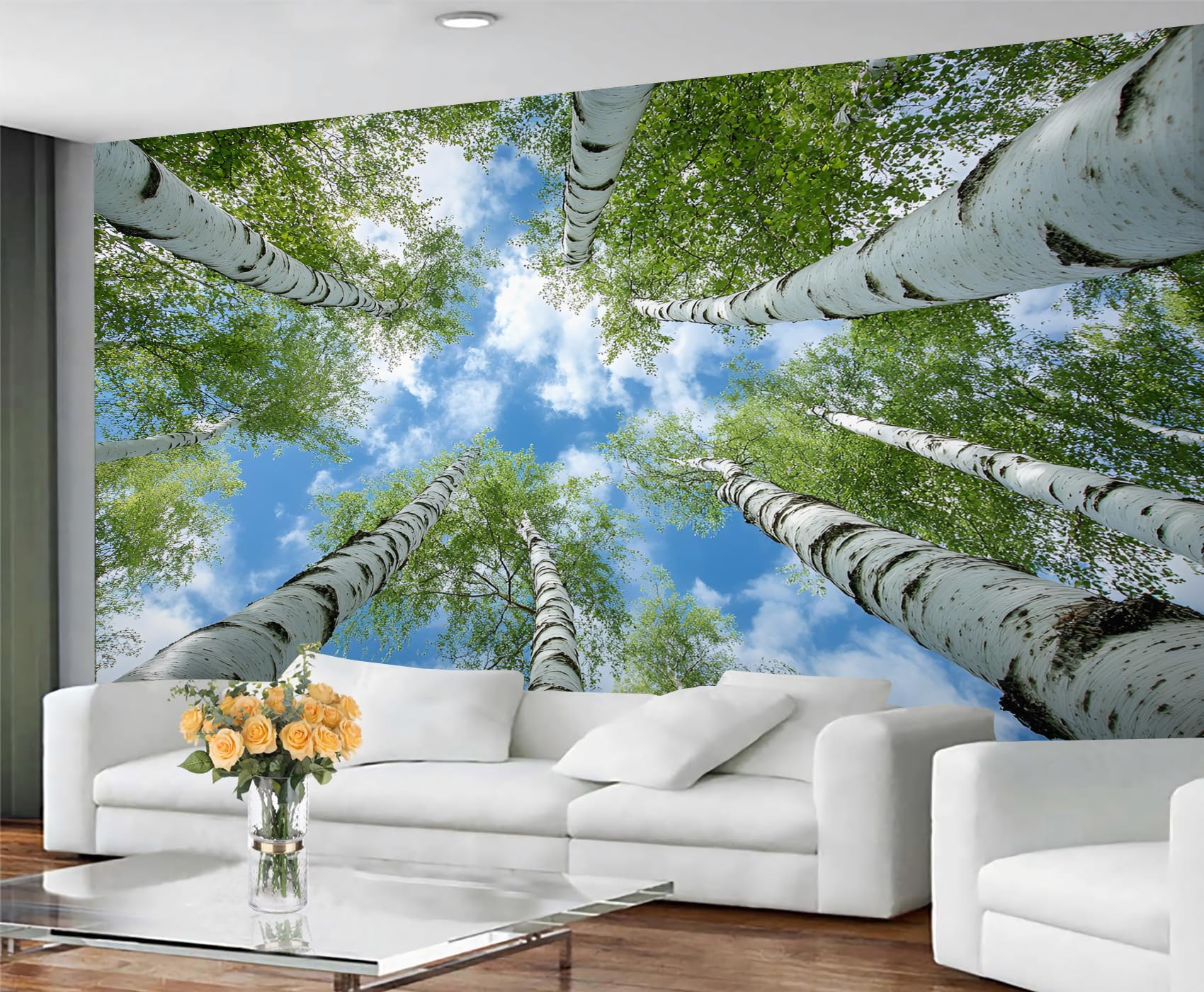 Papier peint forêt de bouleau de qualité supérieure pour une grande décoration murale
