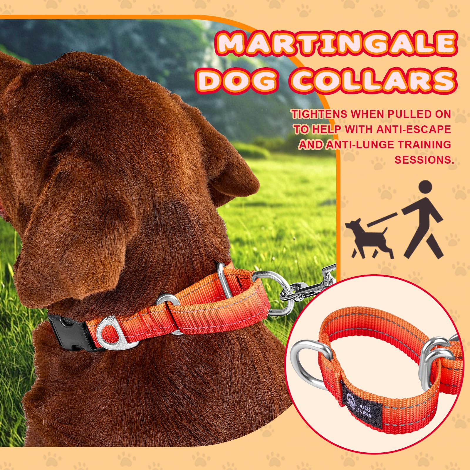 Martingale Dog Collar - Image 2