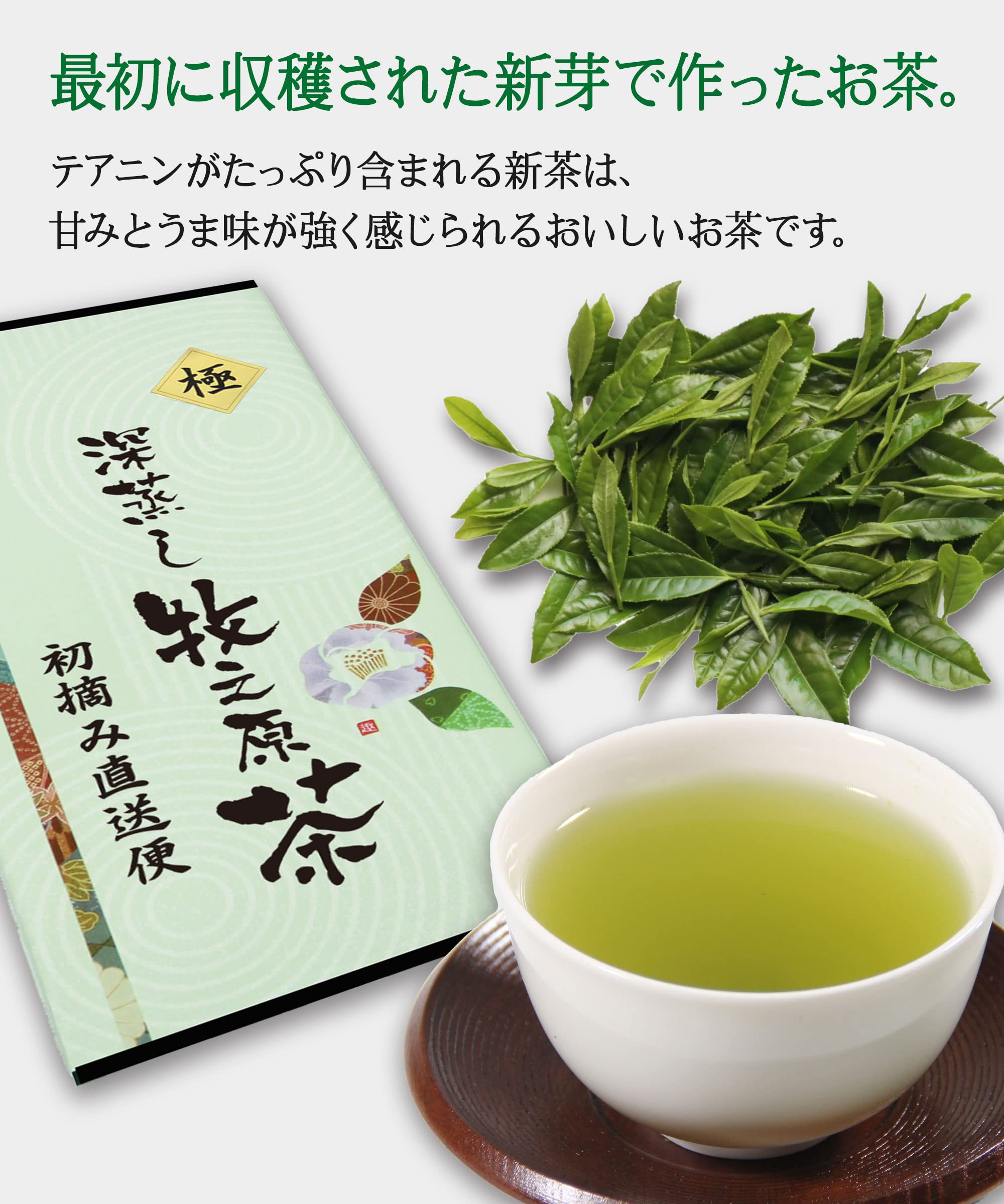 Amazon.co.jp: 静岡 牧之原産 初摘み 一番茶100％ 深蒸し牧之原茶 