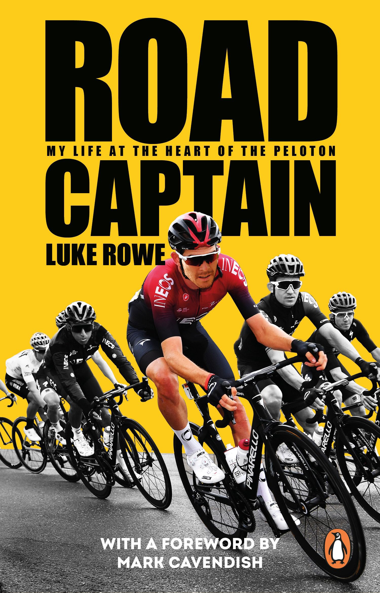 Road Captain : My Life at the Heart of the Peloton