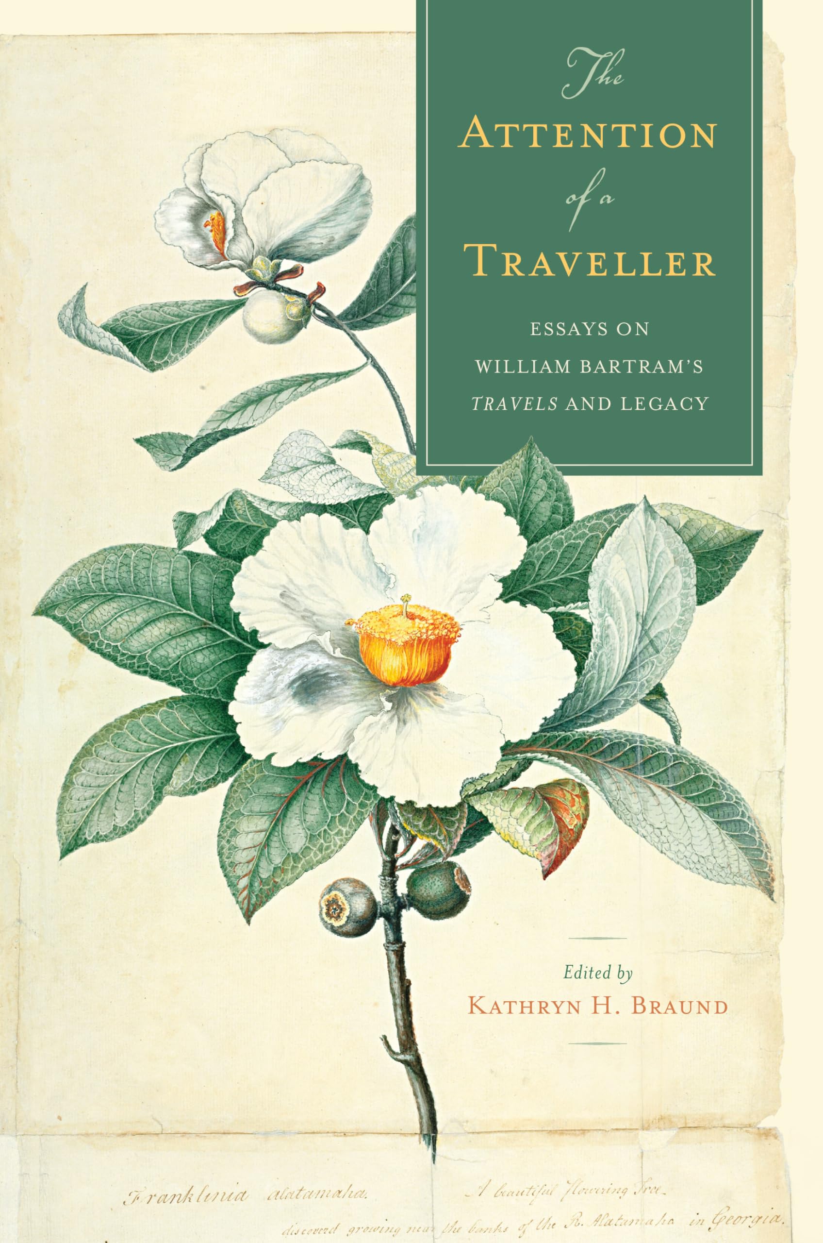 The Attention of a Traveller: Essays on William Bartram