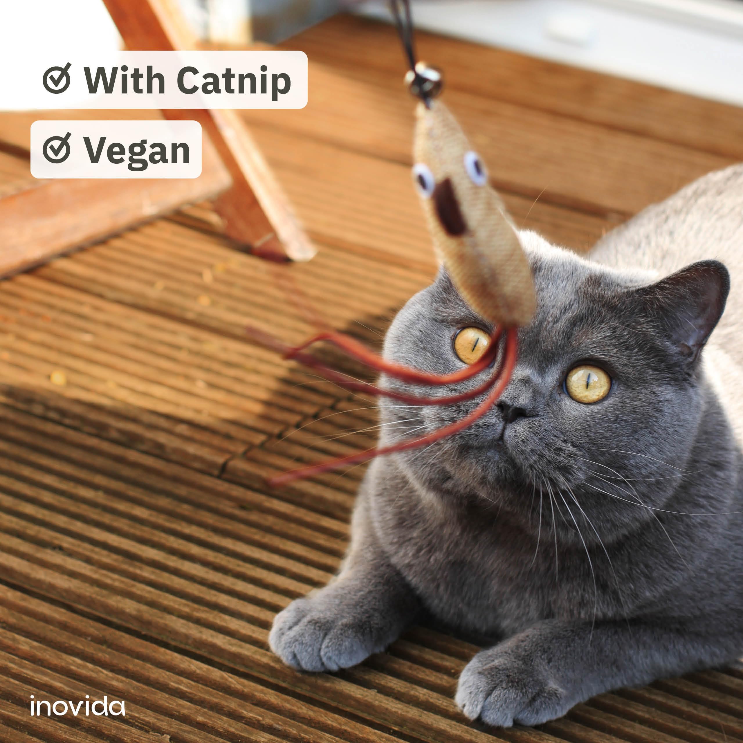 Inovida XL 15 Pcs Cat Fishing Rod Toys Set - Vegan and with Catnip - Feather Wand Kit for Indoor Cat - for Adult and Kittens - From - Image 4