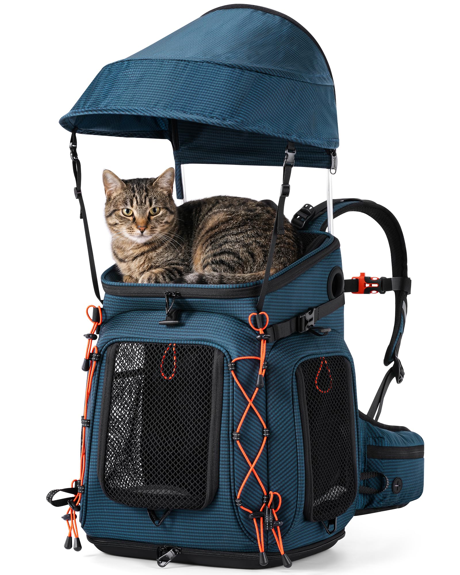Pecute Katzenrucksack mit Sonnendach für Katzen kleine Hunde bis 5kg,Blau