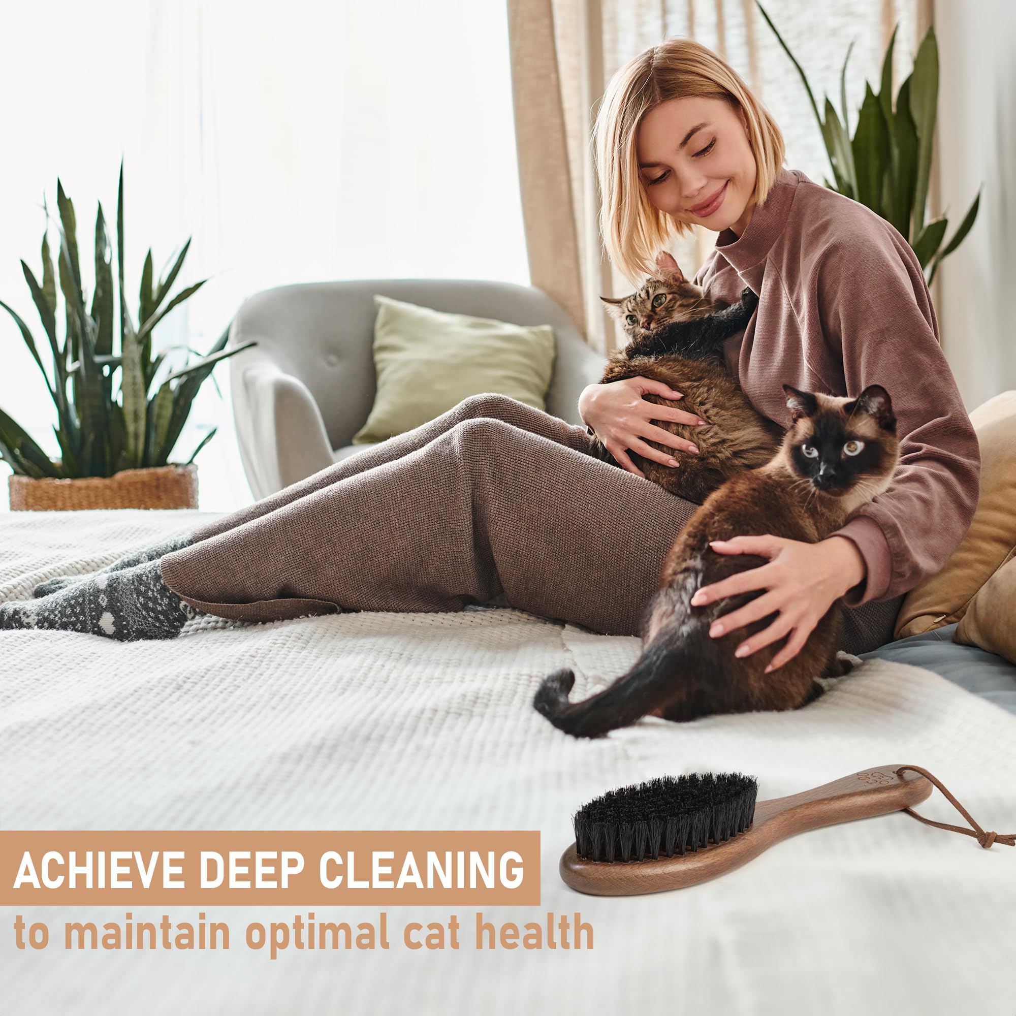 Cepillo para gatos y perros con cerdas de jabalí y mango de madera (cerdas de jabalí negras)