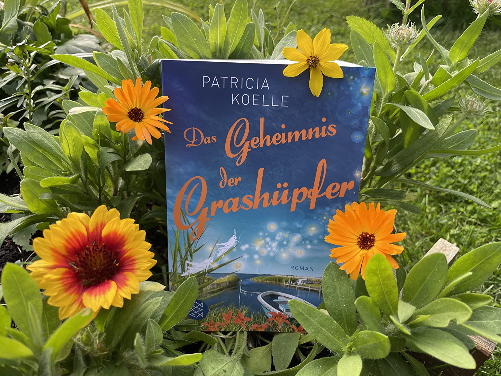 Das Geheimnis der Grashüpfer Ein InselgartenRoman Koelle, Patricia