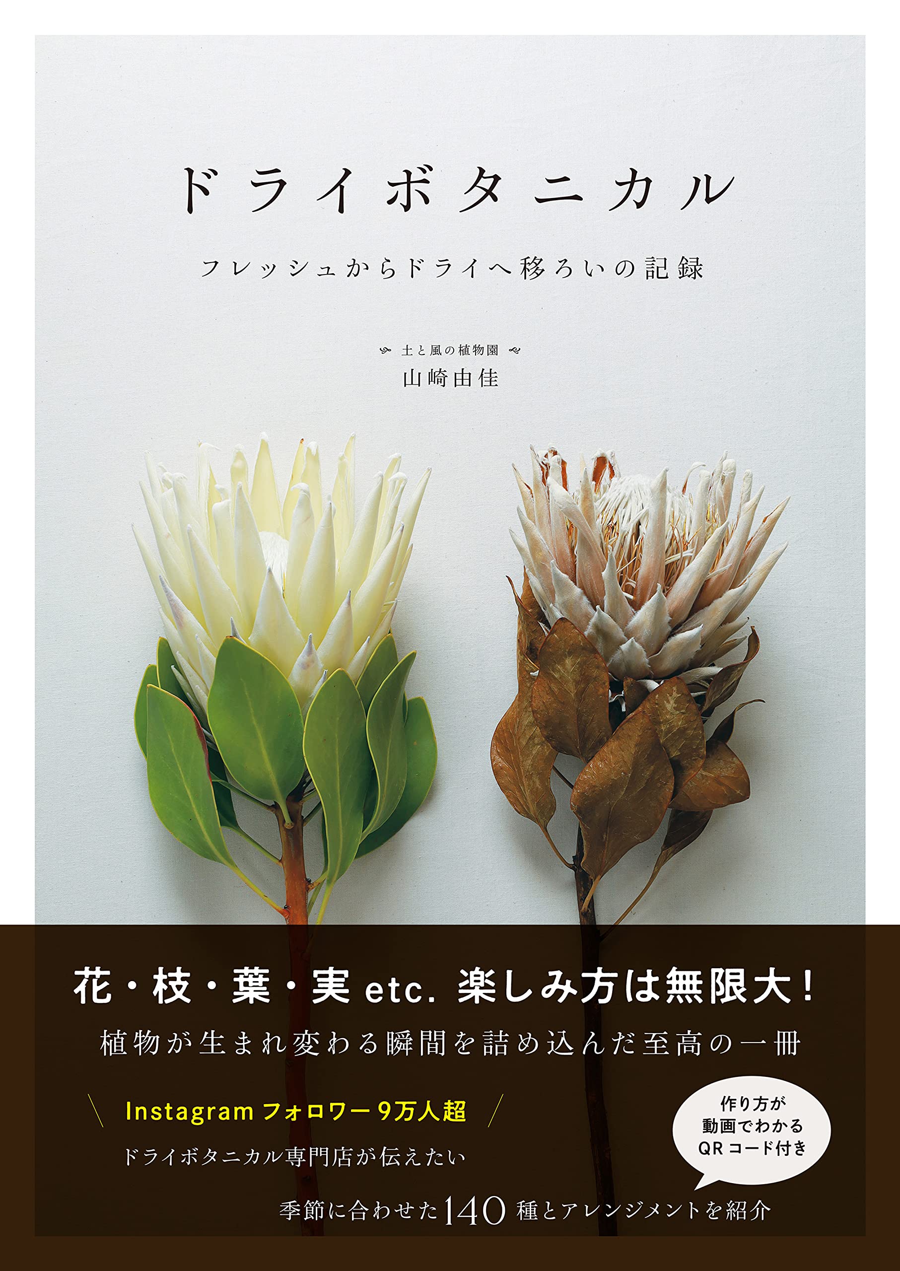 ドライボタニカル フレッシュからドライへ移ろいの記録 | 山崎