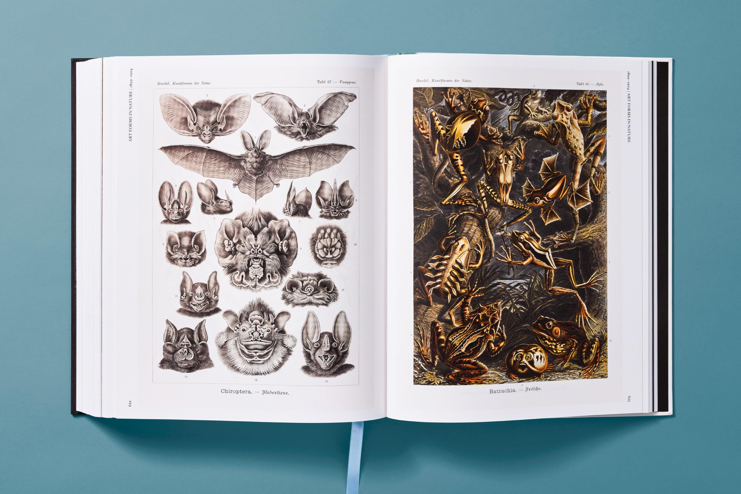 The Art and Science of Ernst Haeckel