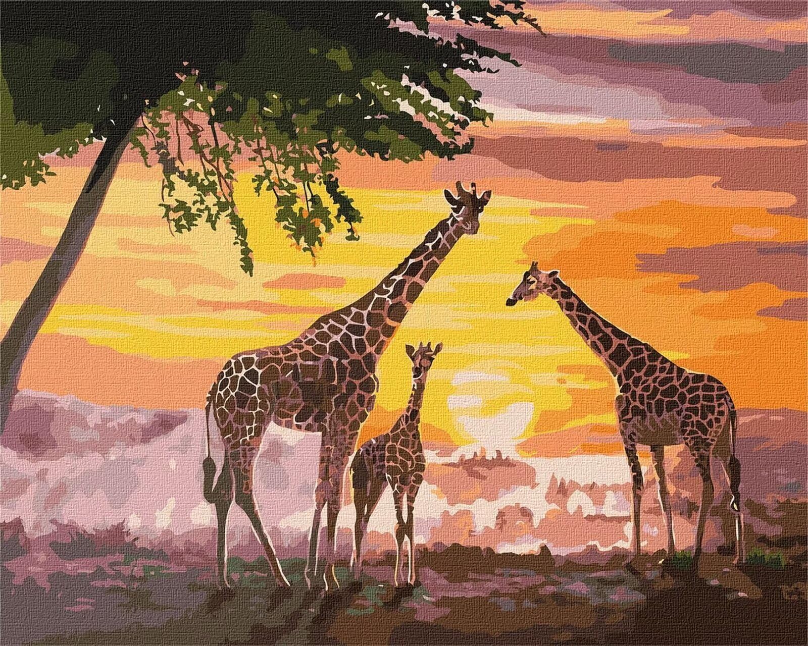 Dipingere con i Numeri Adulti,Famiglia delle giraffe Pittura di Numeri a Olio Fai da Te kit di pittura acrilica per adulti Bambini,Con Pennelli e Colori Acrilici per casa Decor con Telaio,55x70cm