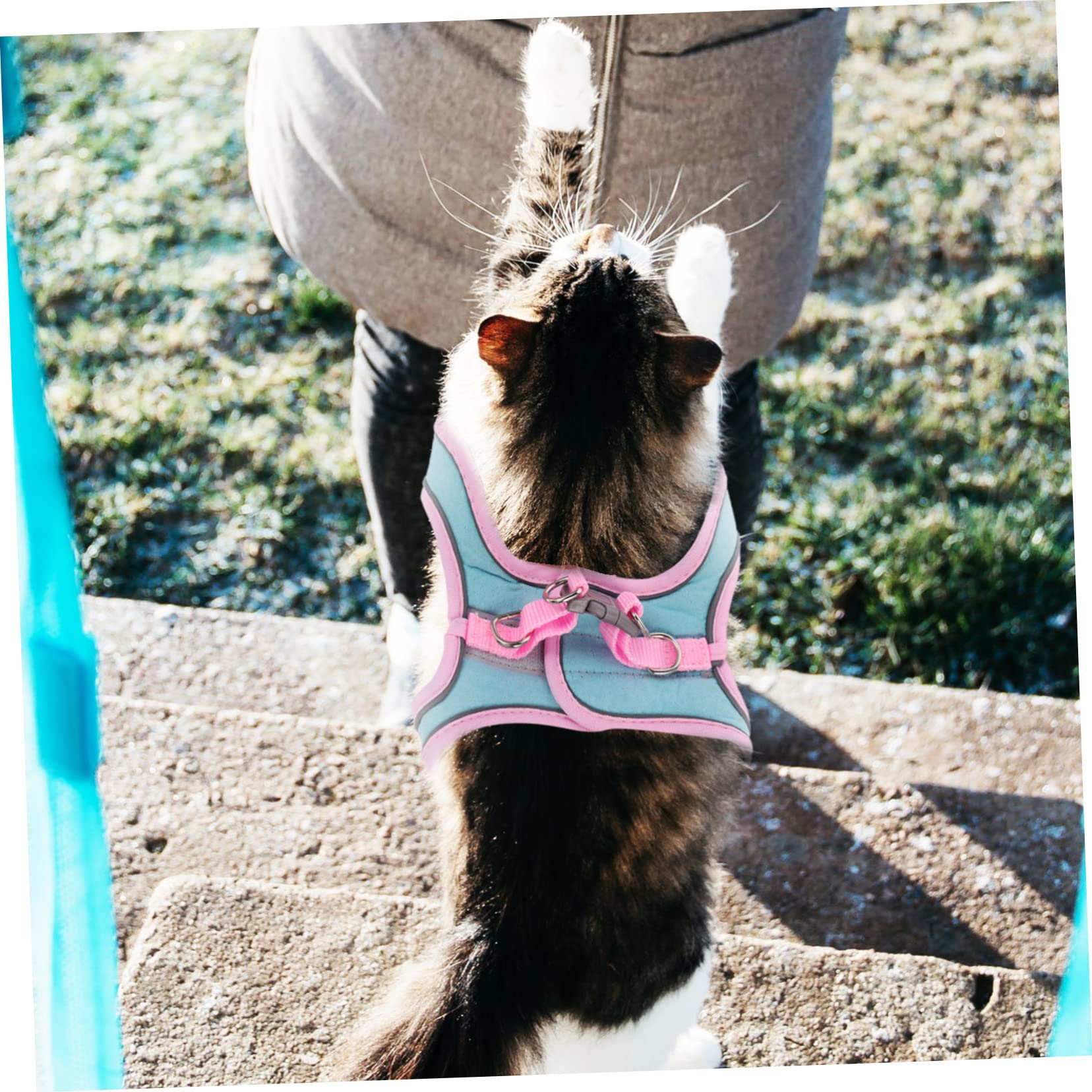 Happyyami 4 Ensembles Harnais pour Animaux de Compagnie Gilet de Tenue de Harnais de Marche pour Animaux de Compagnie Laisse Chat extérieur Ensemble Laisse Chat débardeurs Protection