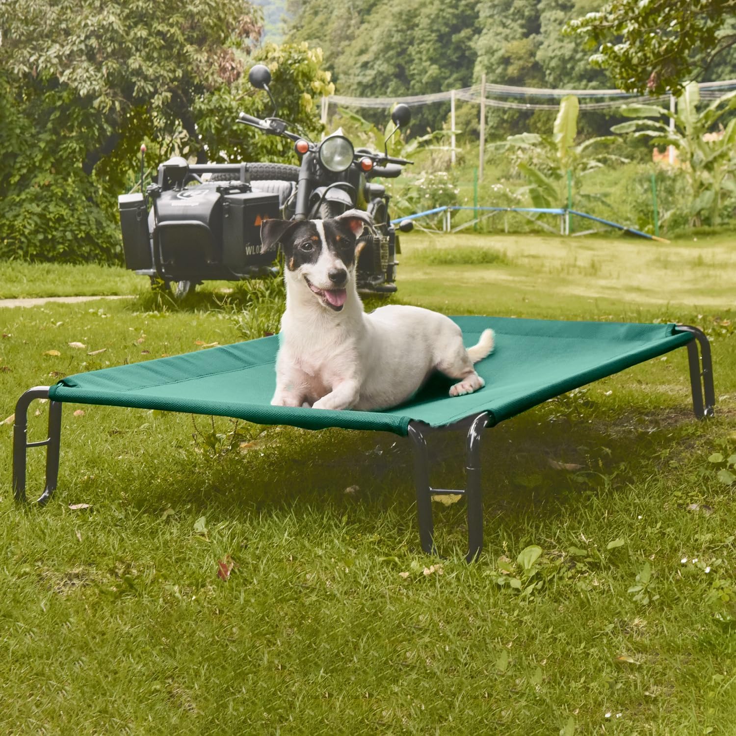 Stay Cool and Comfortable: Pettycare Elevated Outdoor Dog Bed Review