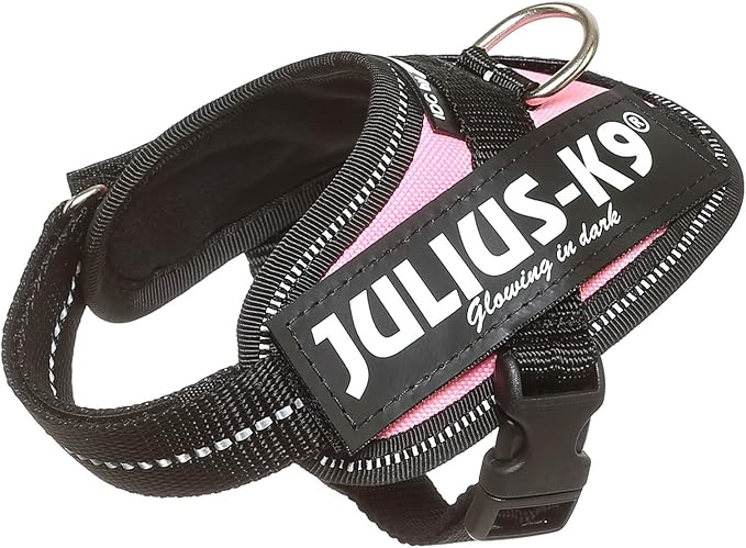 julius k9 size 1