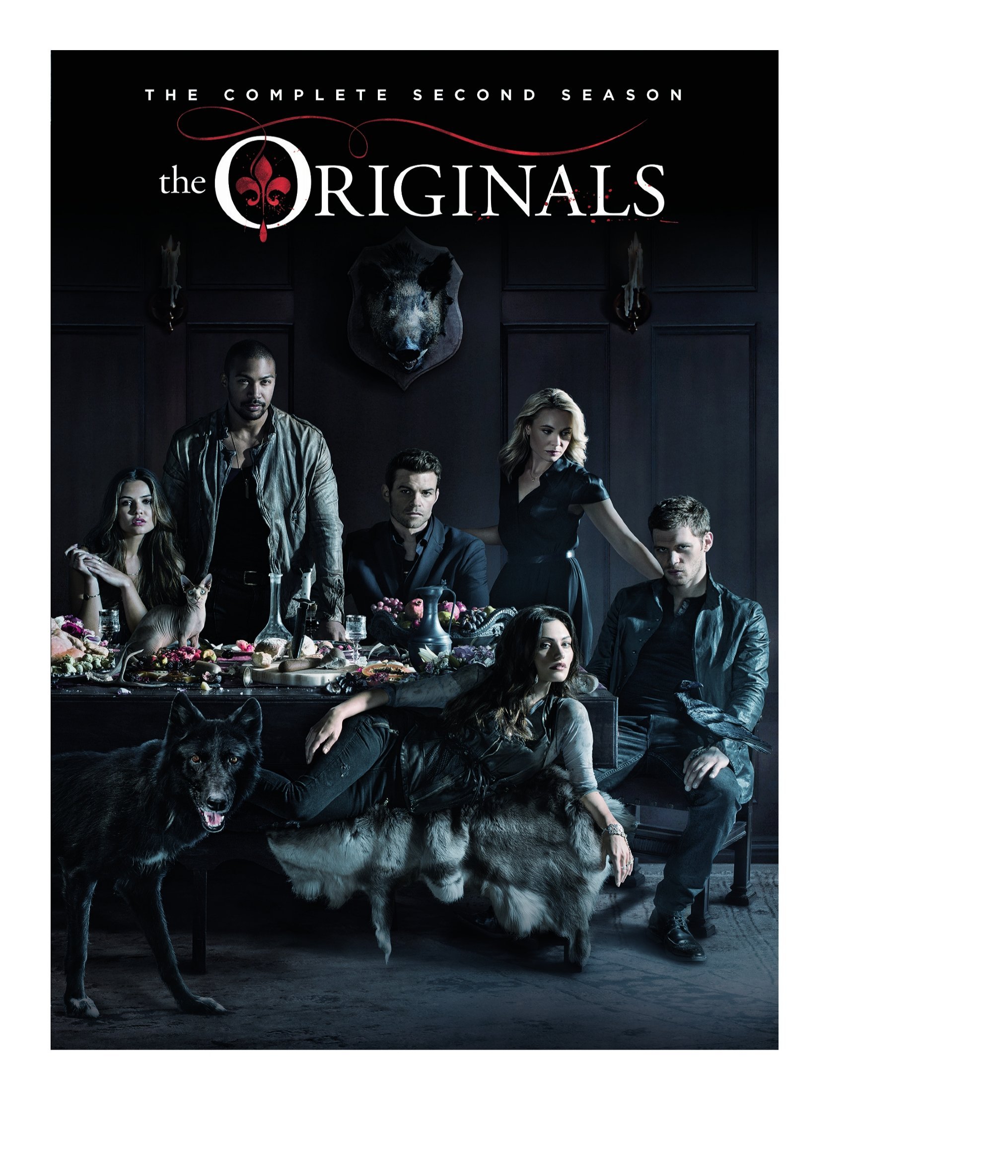 The Originals: The Complete Second Season (DVD) [DVD]
