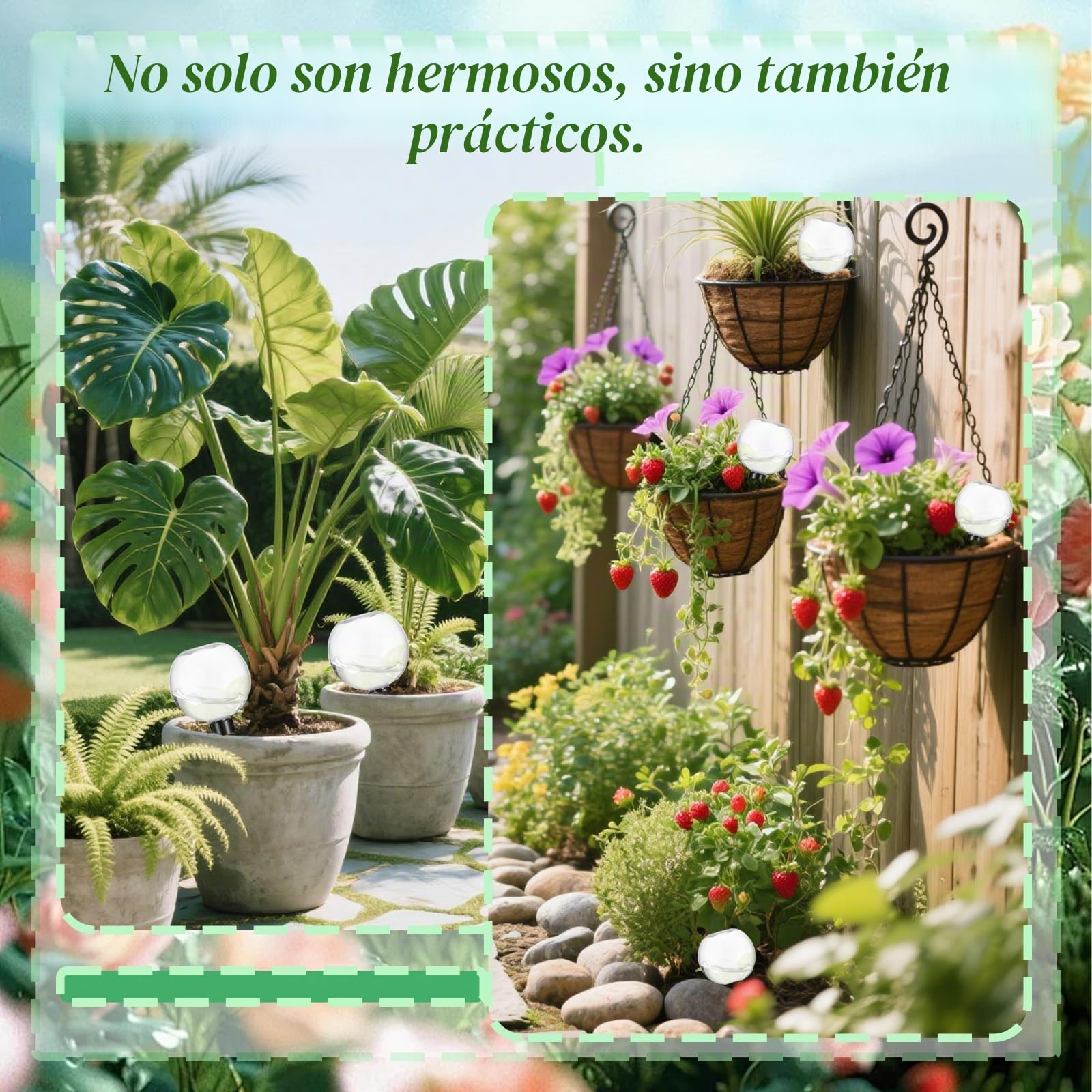 4 Pack Bolas de Riego para Plantas Transparente, Globos de Riego de Plantas, Autorriego Globos Bolas De Riego, Bola De Goteros De Riego Para Macetas Exterior Interior, 500ml