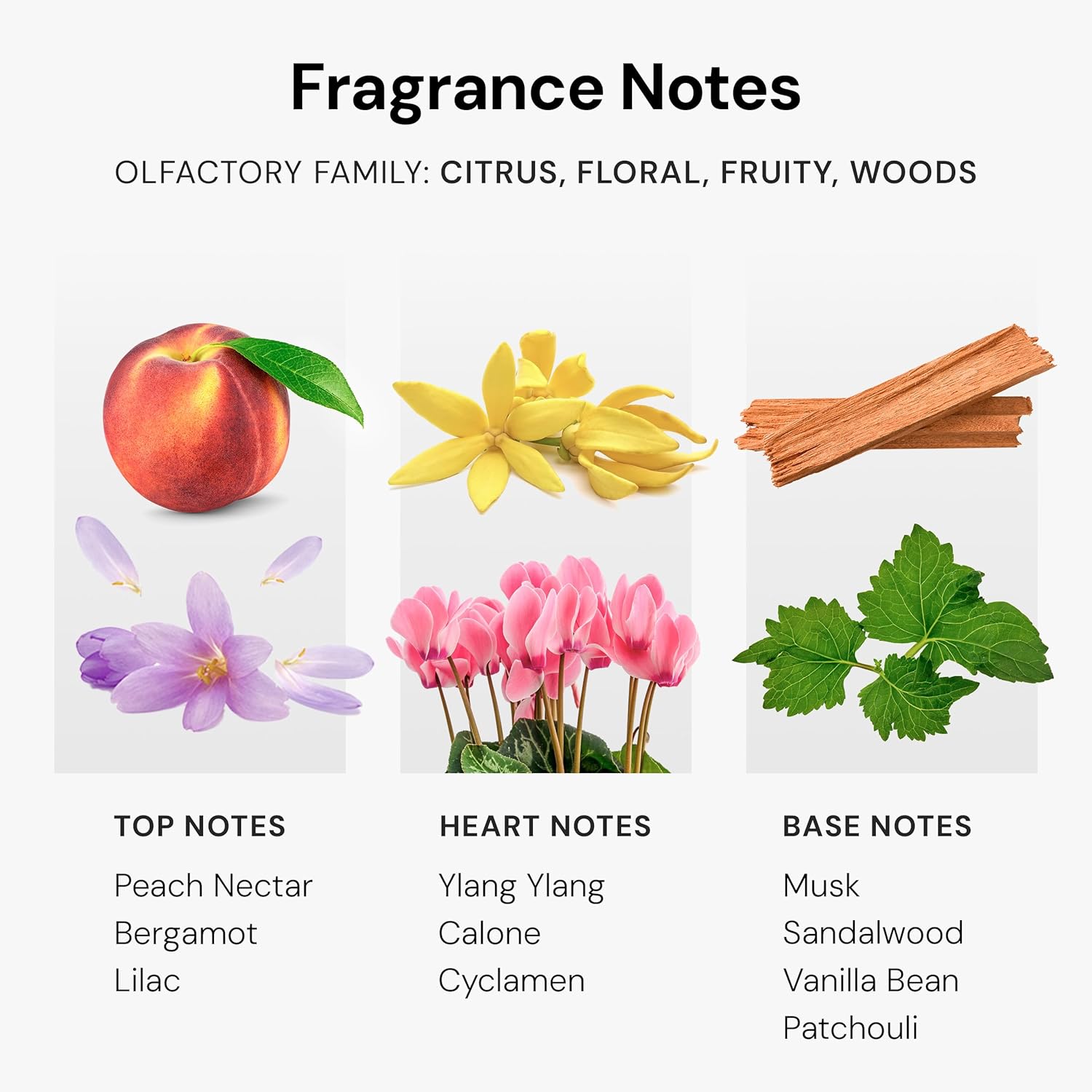 Private Dancer Essential Diffuser Oil, Opulent Aroma, Fragrance Oil, Aromatherapy Blend for Home, Spa & Office | Sandalwood, Vanilla & Patchouli | 4.05 fl oz, 120 mL - Image 4
