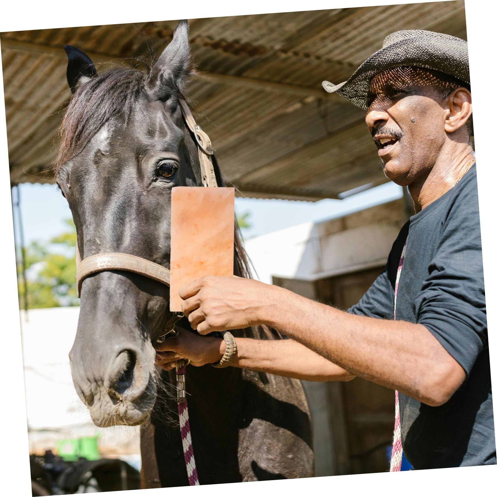 BESTonZON Licking para Ganado Ovejas y Caballos Fuente Mineral Esencial para Nutrición y Digestión Duradero y Conveniente